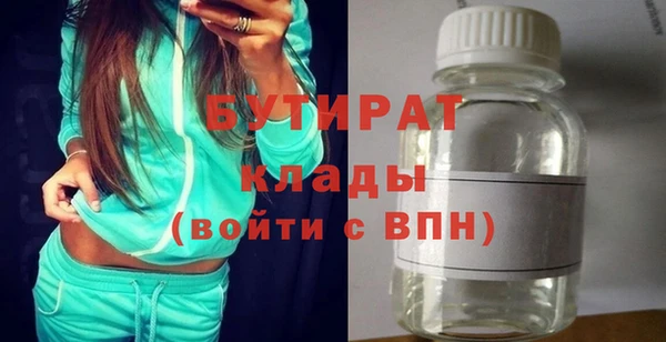 сатива Ельня
