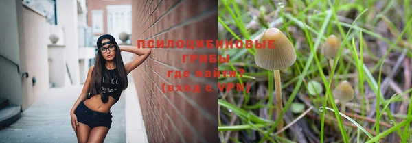 сатива Ельня