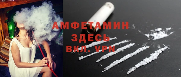 сатива Ельня