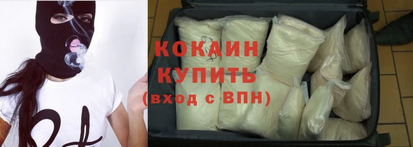сатива Ельня