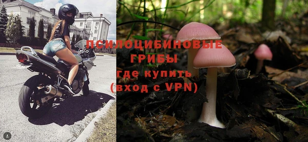 сатива Ельня