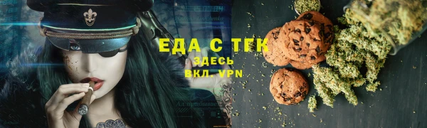 сатива Ельня