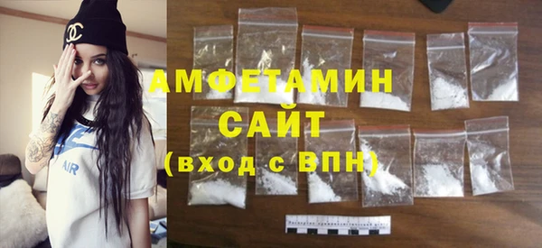 сатива Ельня